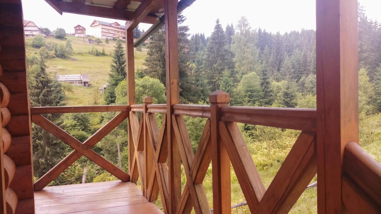 "Лісова Ягода" Jablunycja Exteriér fotografie